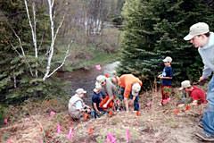 Here you see scouts from the Harrison Boy Scout Troop planting trees at site C.
