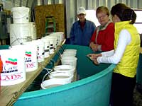 Gail & Dock Hatchery:  Hatchery visitors-larval sturgeon in buckets.