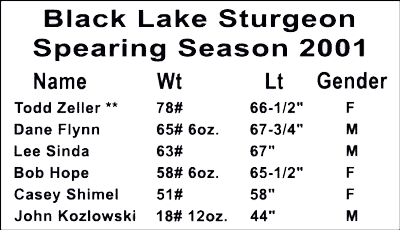 2001 Black Lake Sturgeon Speaing Season.