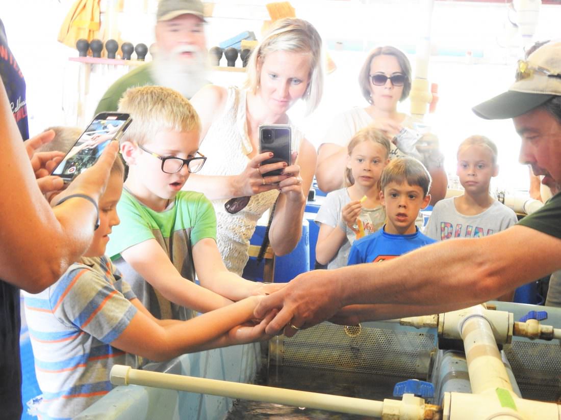 Photo by Julie Riddle: Children gather around as Tim Cwalinski, senior fisheries biologist with the Michigan Department of Natural Resources, places a sturgeon fingerling into the hands of curious visitors to the Black River sturgeon hatchery near Onaway on Saturday.