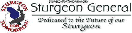 Sturgeon General - Sturgeon For Tomorrow, Black Lake, Michigan Chapter Newsletter.