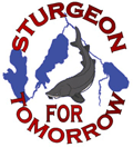 Sturgeon For Tomorrow Logo