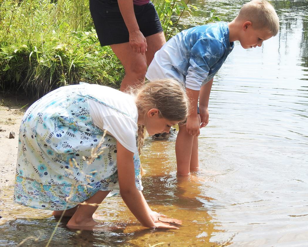 Photo by Julie Riddle: Children release sturgeon fingerlings in the Upper Black River near Onaway on Saturday.