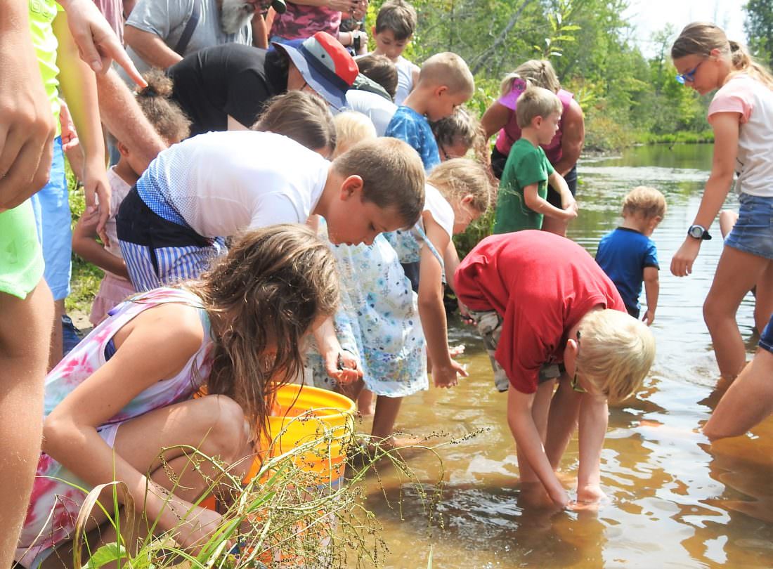Photo by Julie Riddle: Children release sturgeon fingerlings in the Upper Black River near Onaway on Saturday.